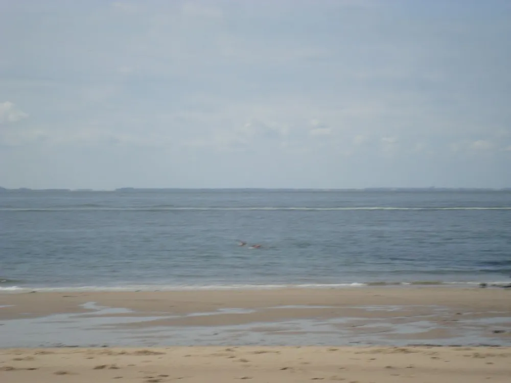 Kaasboerderij Pitteperk (+ Bed & Breakfast)