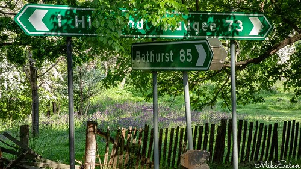 Glendora - Hill End Historic Site Campground