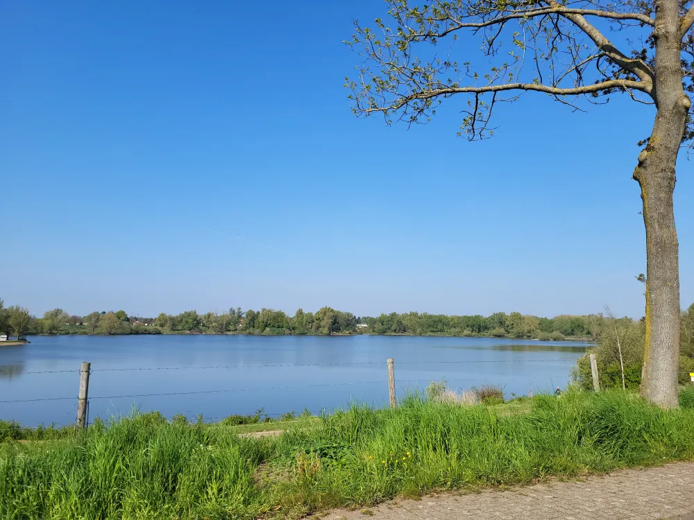 Maashoeve de Bunders