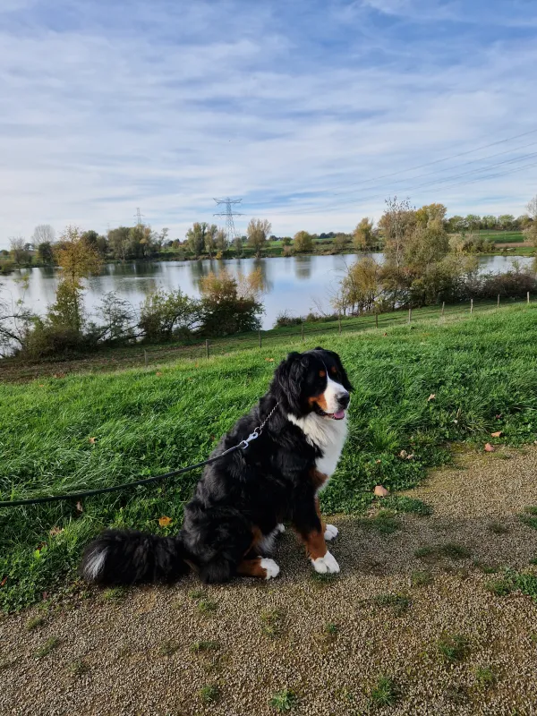 Maashoeve de Bunders