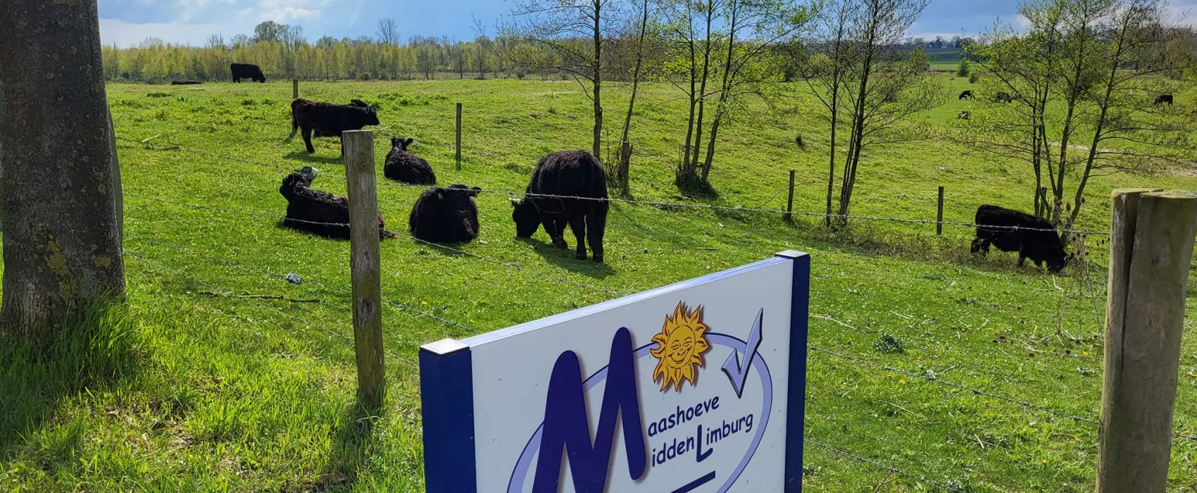 Maashoeve de Bunders