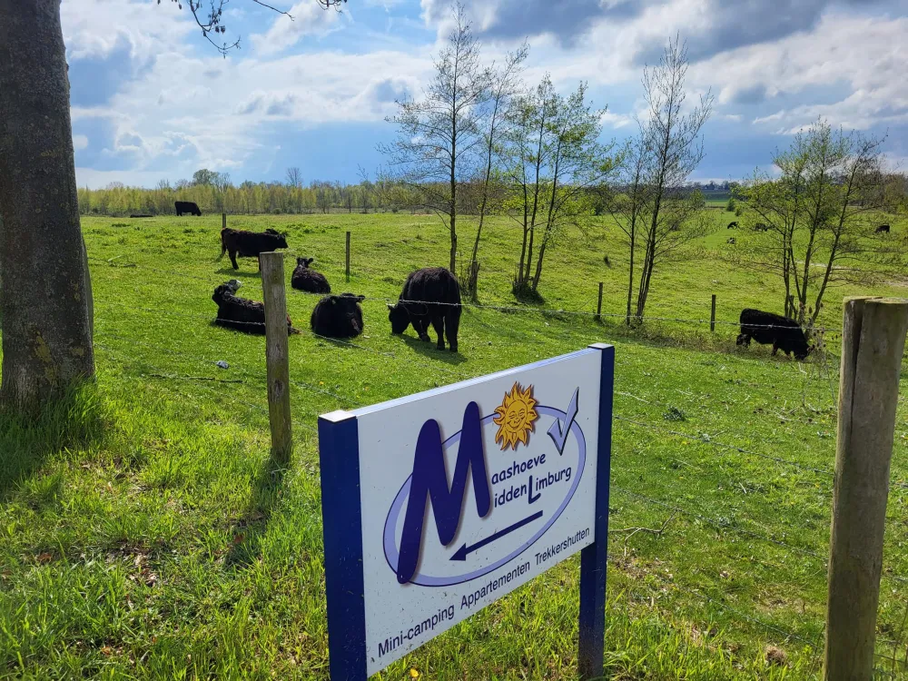 Maashoeve de Bunders