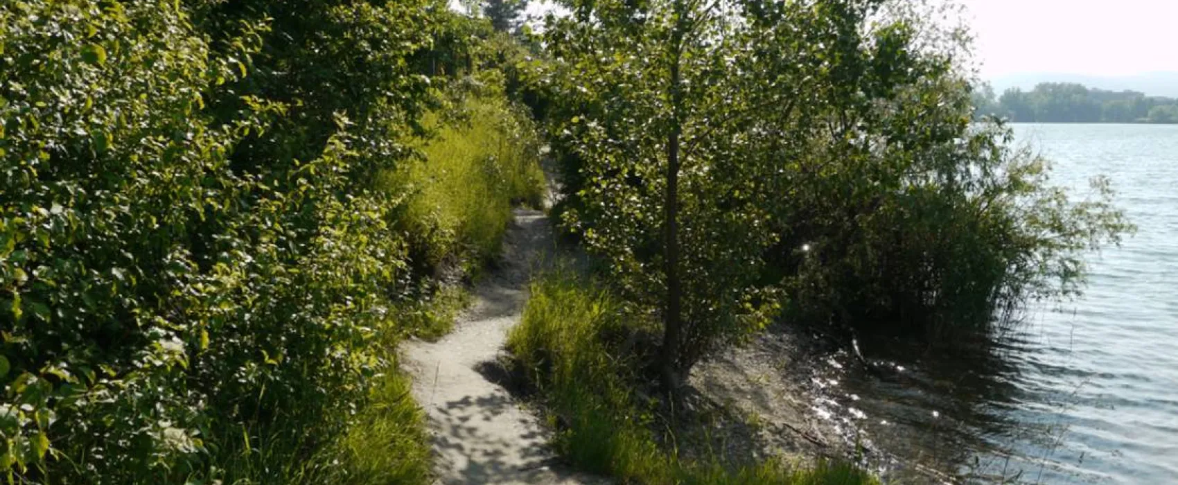 Areál Zdravia Zlaté Piesky