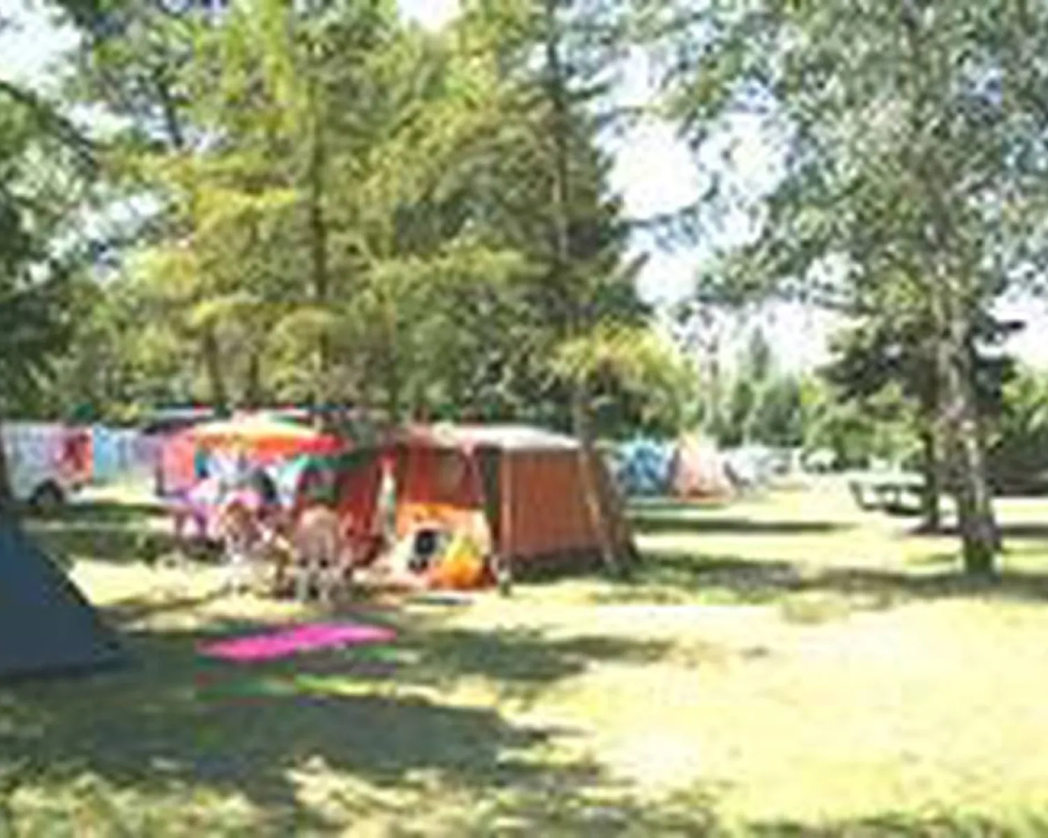faltpavillon camping Faltpavillon 2x2m kaufen - wasserdicht main image 0