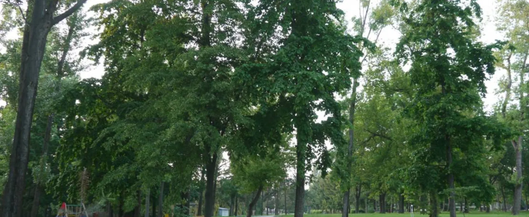 Areál Zdravia Zlaté Piesky