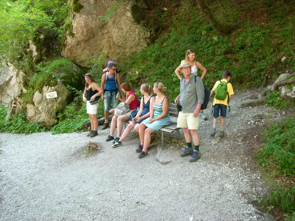 Rad-Wandercamping Ponderosa