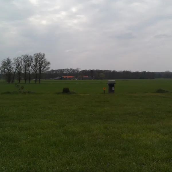 Dinkelweide