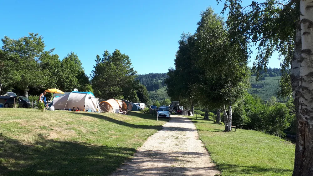 La Cigale de l'Allier