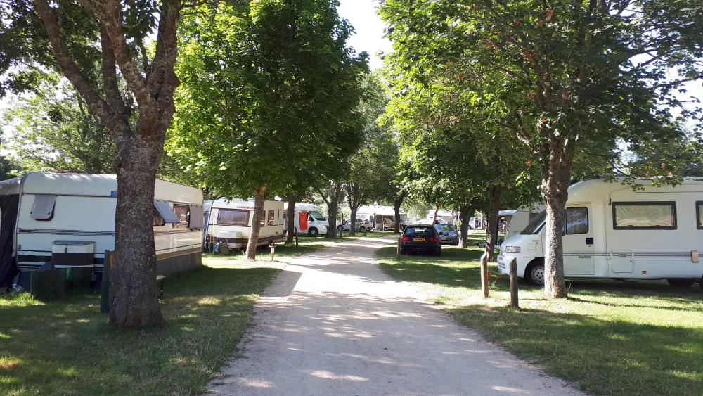 La Cigale de l'Allier