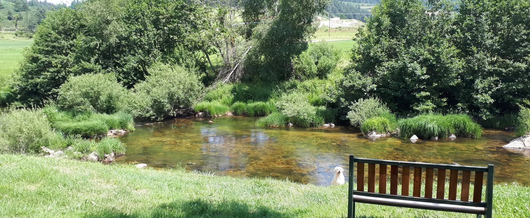 La Cigale de l'Allier