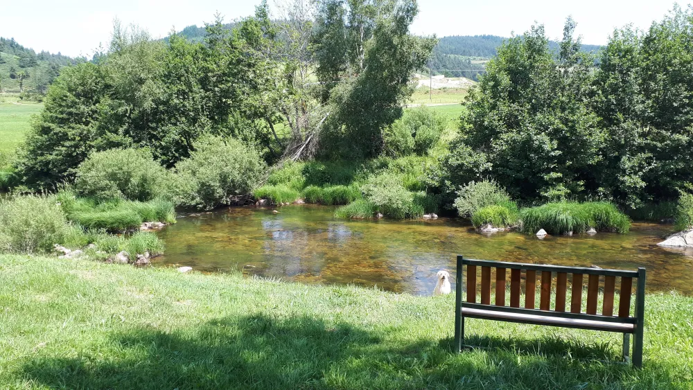 La Cigale de l'Allier