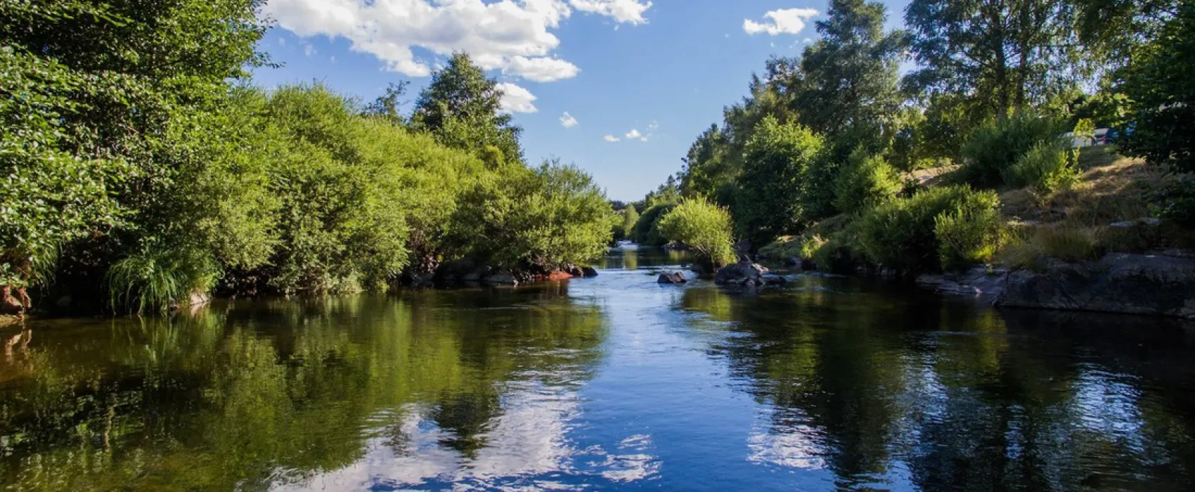 La Cigale de l'Allier
