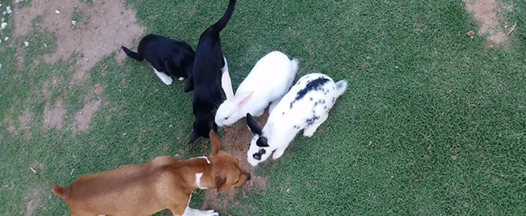 Aberdeen Self-Catering