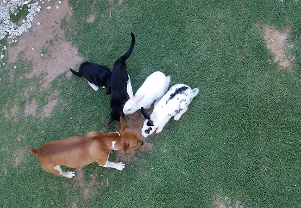 Aberdeen Self-Catering