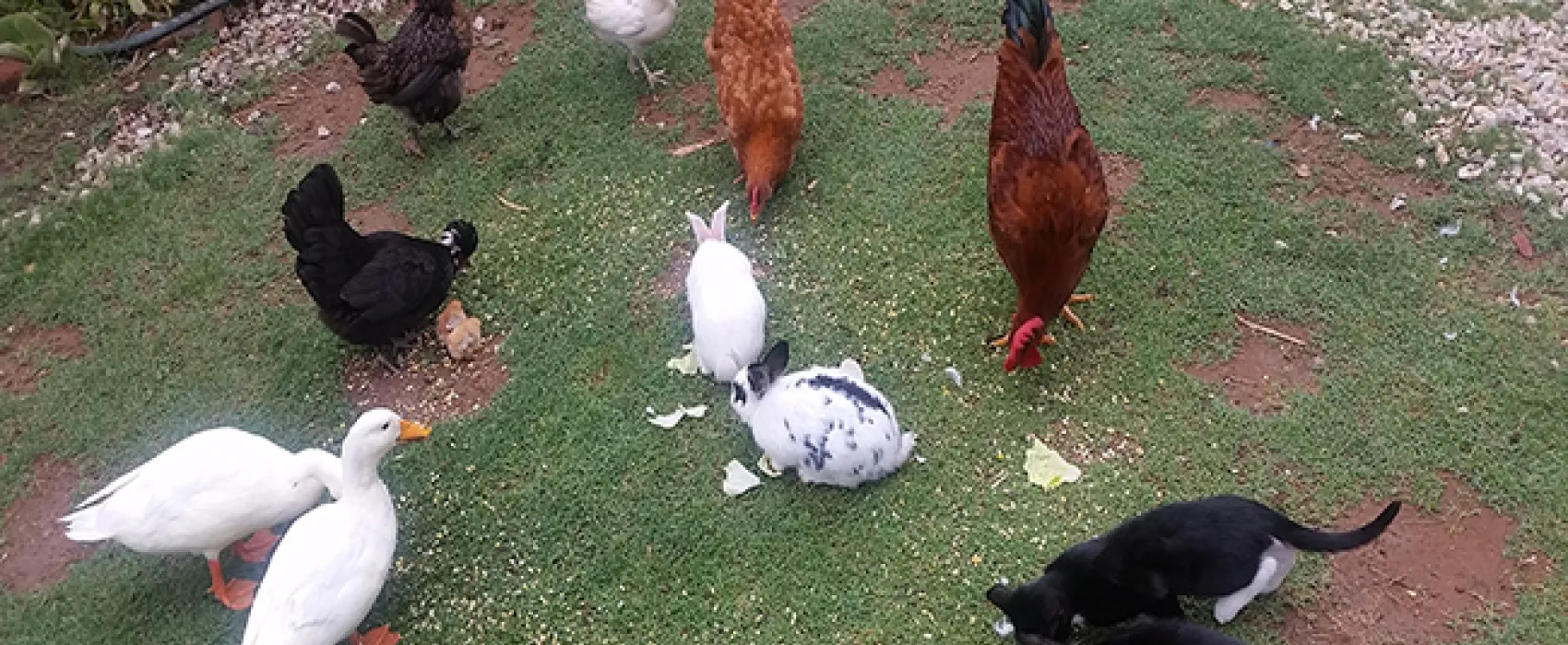 Aberdeen Self-Catering