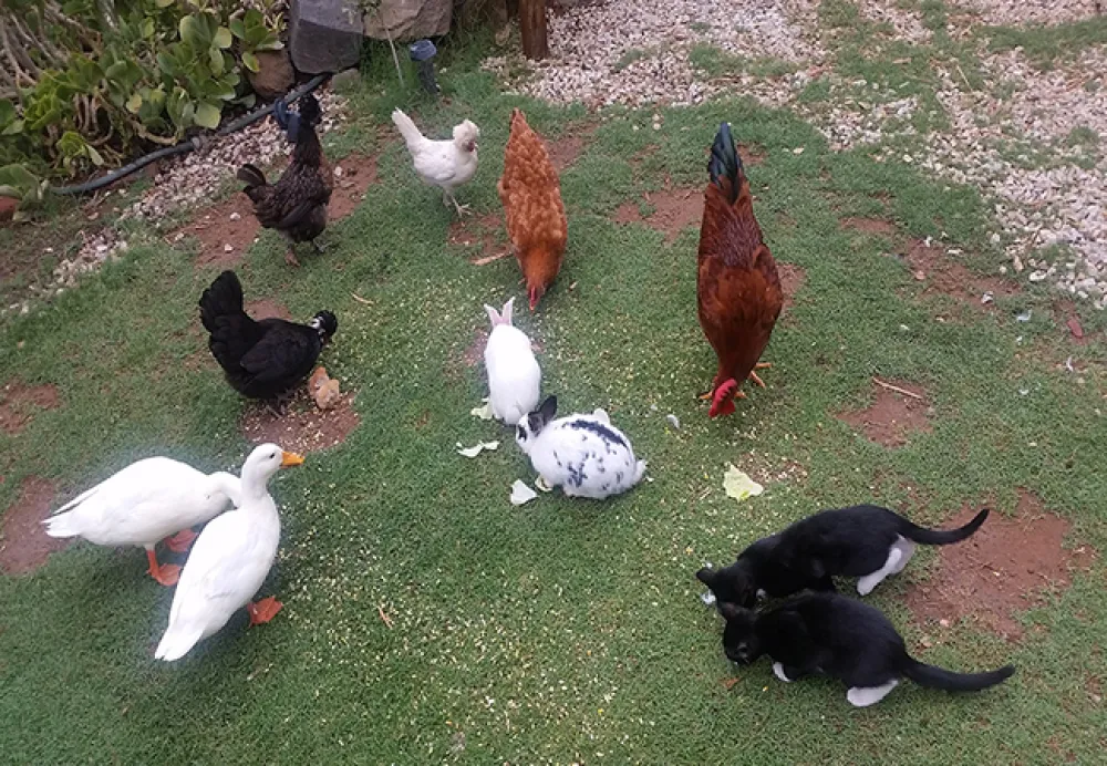 Aberdeen Self-Catering