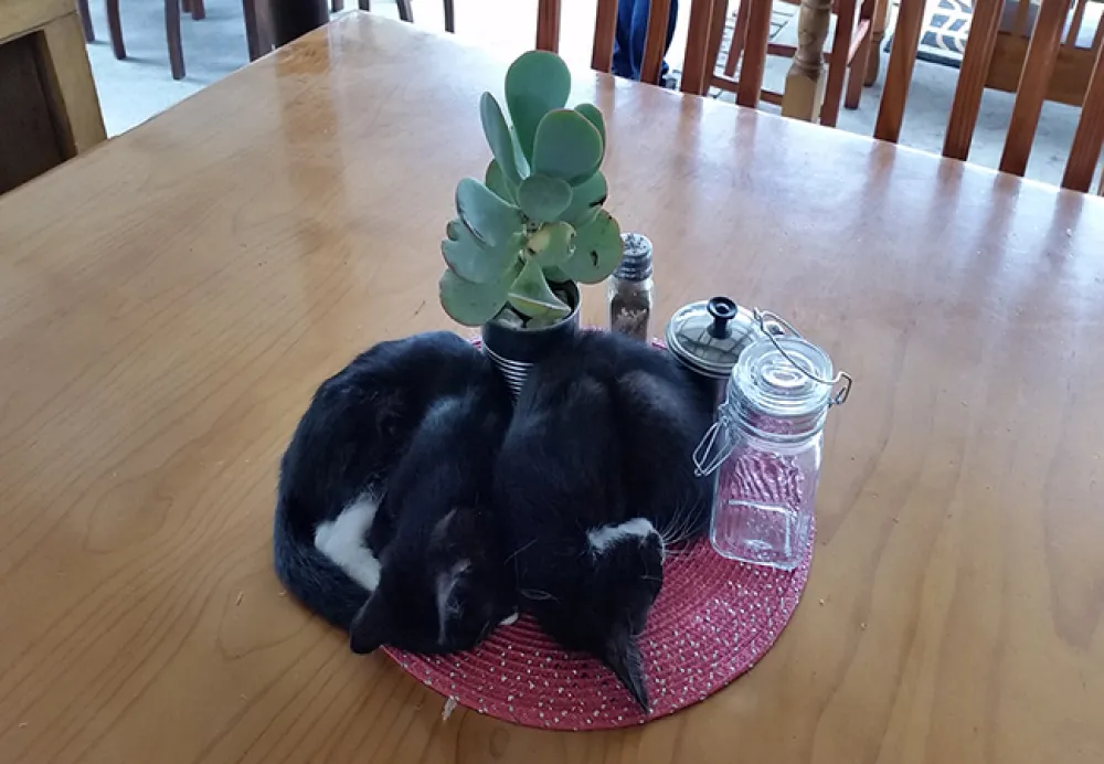 Aberdeen Self-Catering