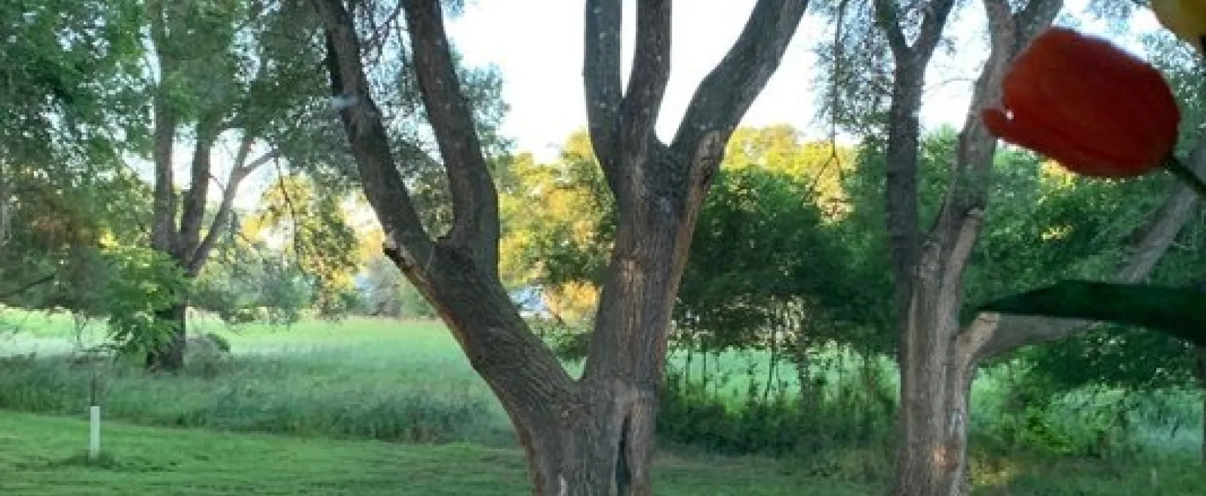 West Whitlock Recreation Area