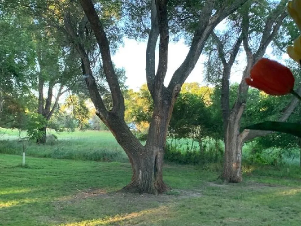 West Whitlock Recreation Area