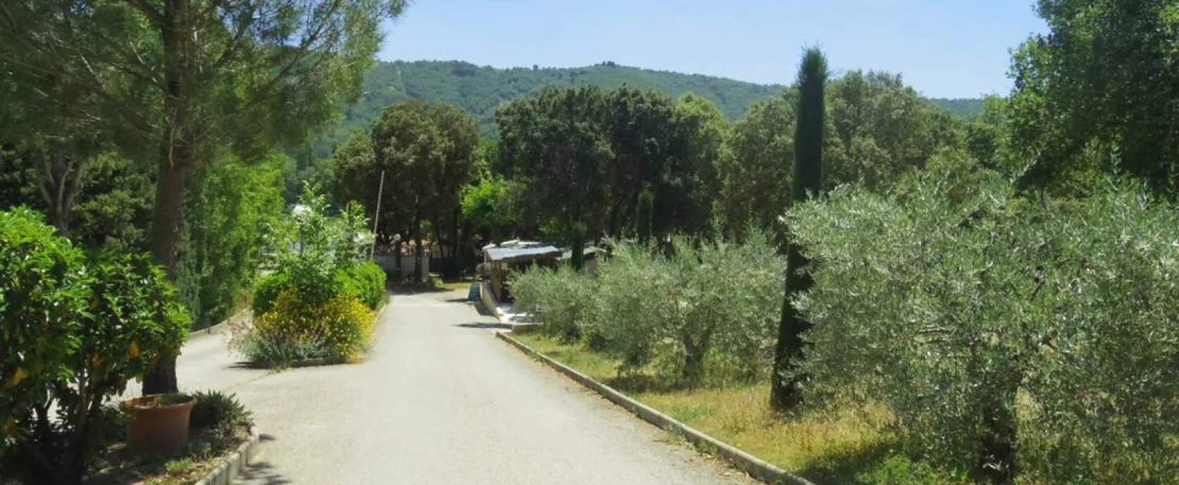 Camping Le Mas St Pierre