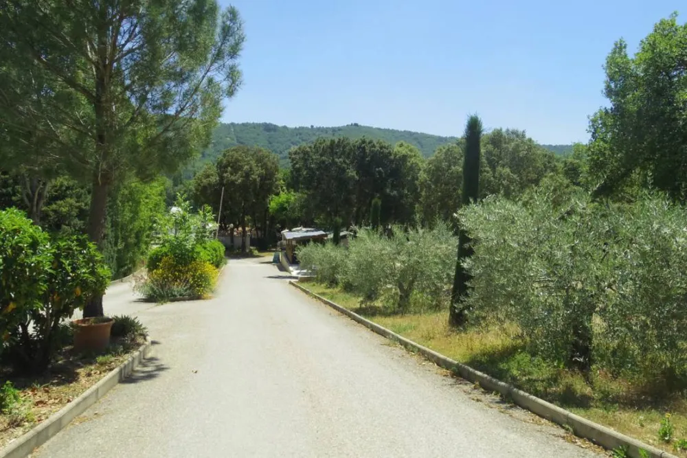 Camping Le Mas St Pierre