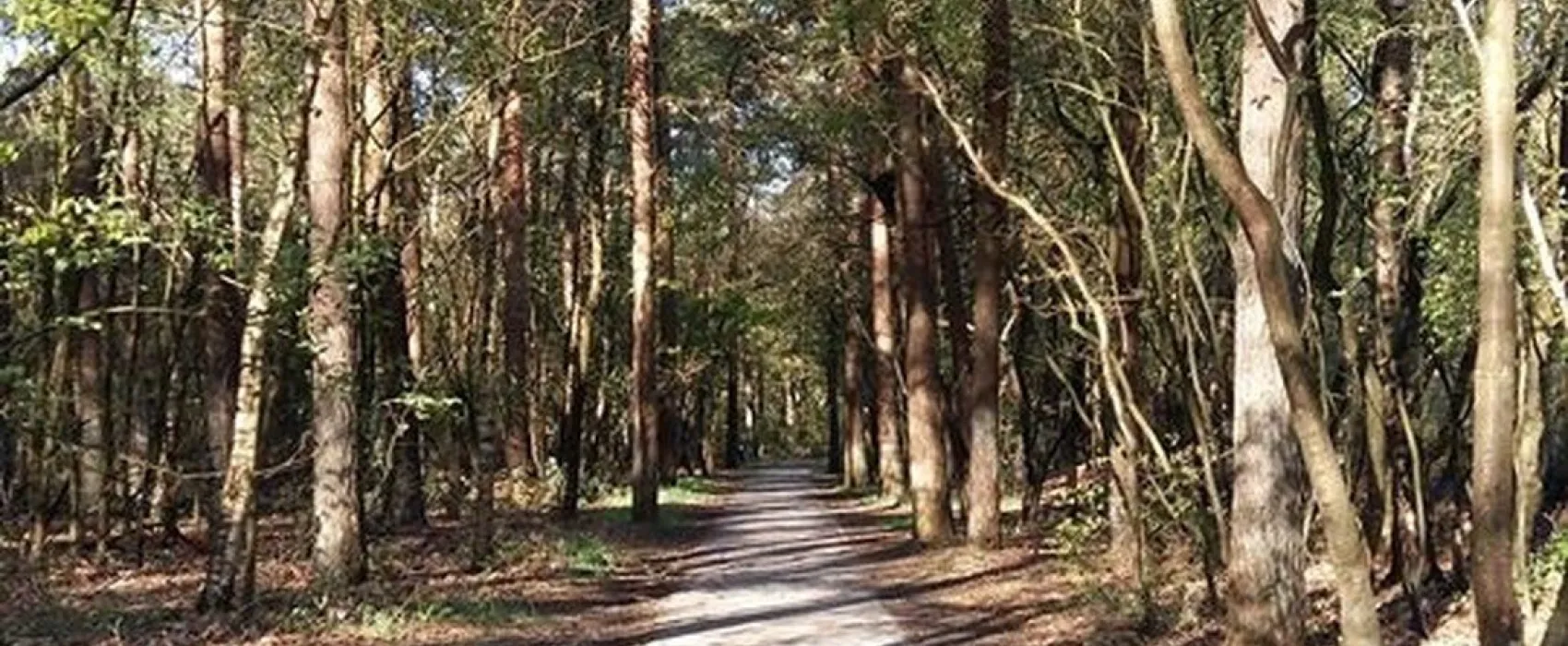 Minicamping de Rozehoeve