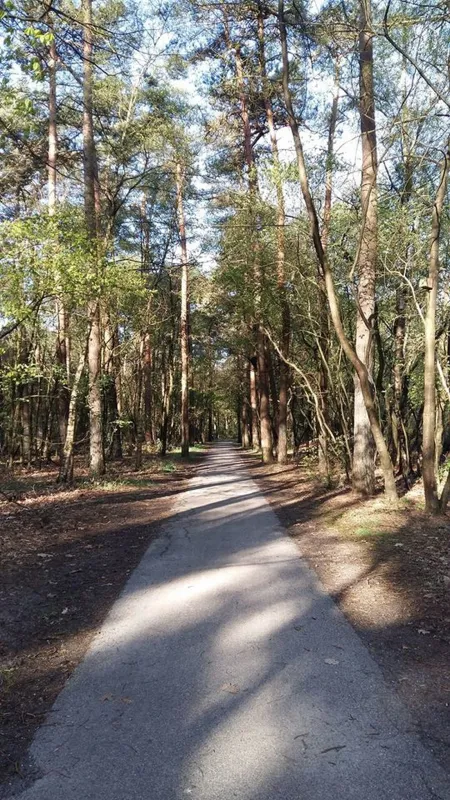 Minicamping de Rozehoeve