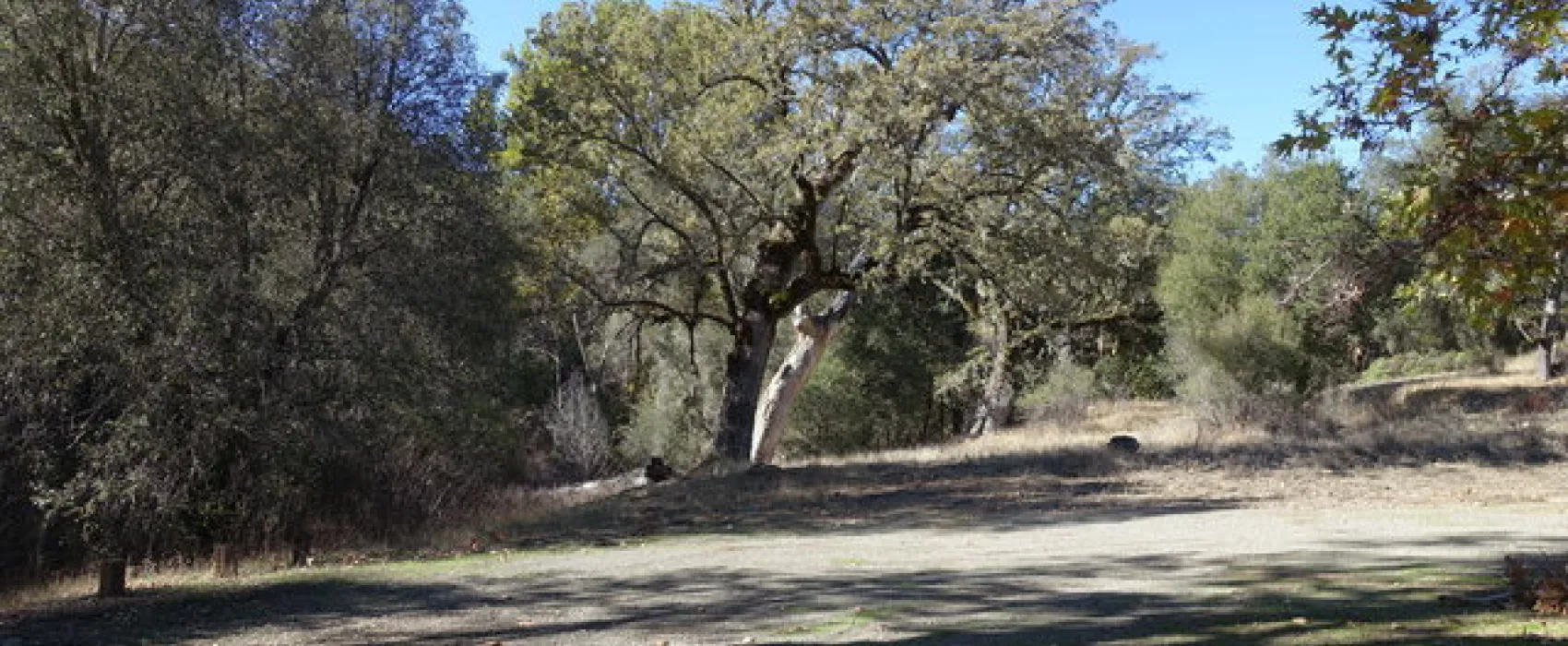 Nacimiento-Fergusson Road