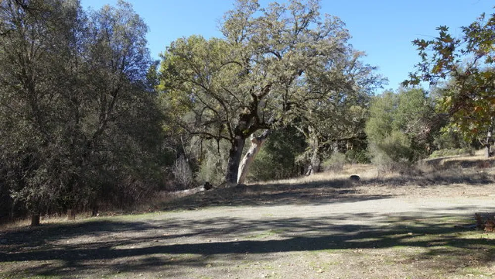 Nacimiento-Fergusson Road