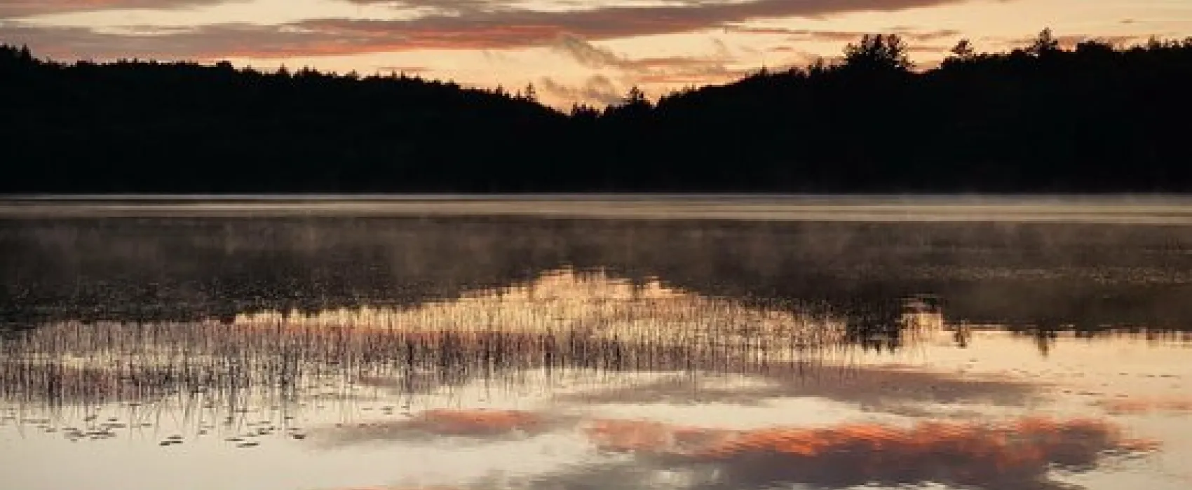 Brown Tract Pond Campground
