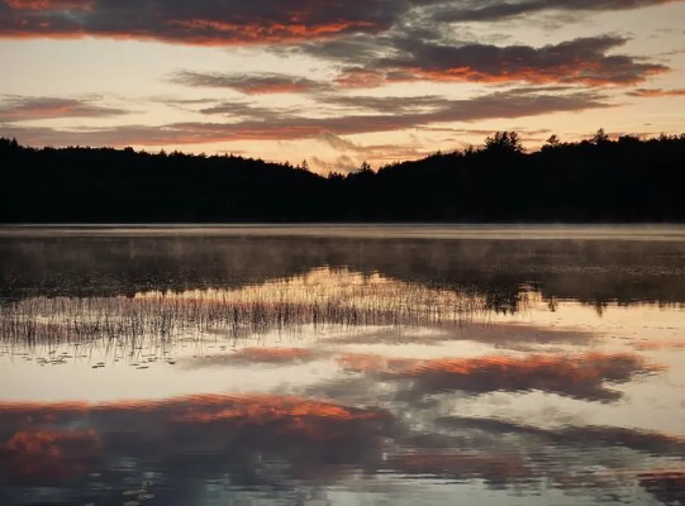 Brown Tract Pond Campground