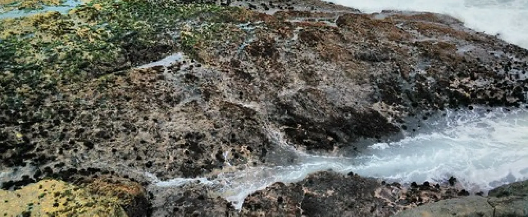 Mystery Bay Campground