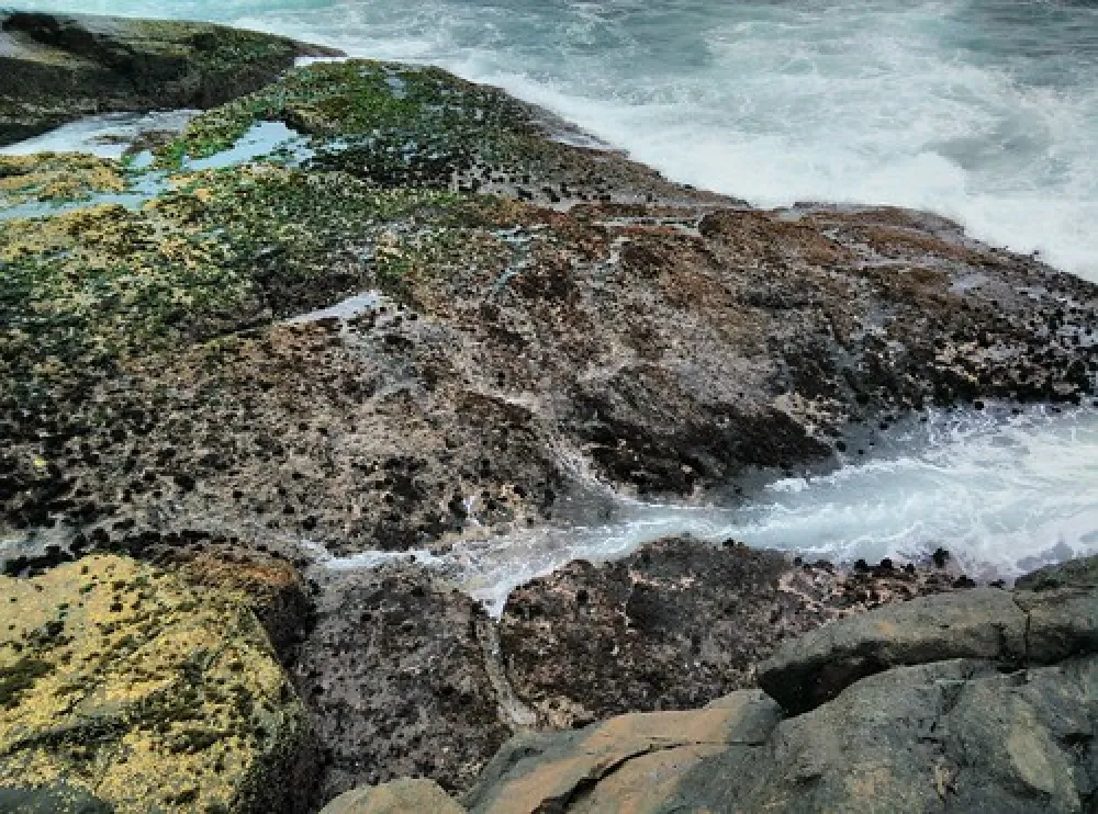 Mystery Bay Campground