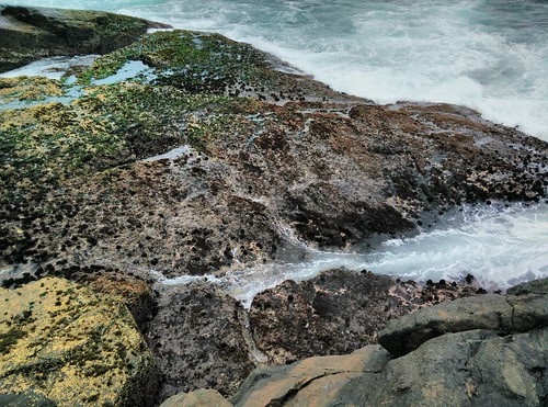 Mystery Bay Campground photo 3
