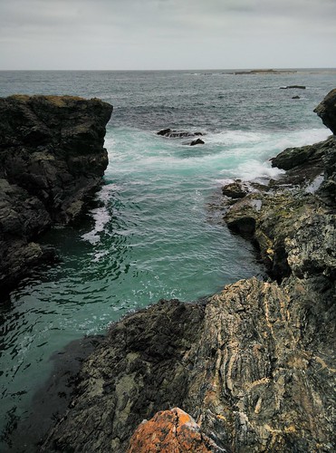 Mystery Bay Campground photo 5