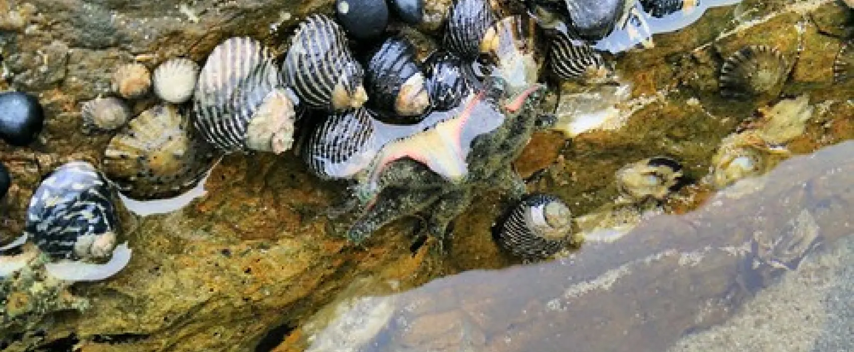 Mystery Bay Campground