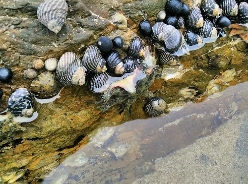 Mystery Bay Campground