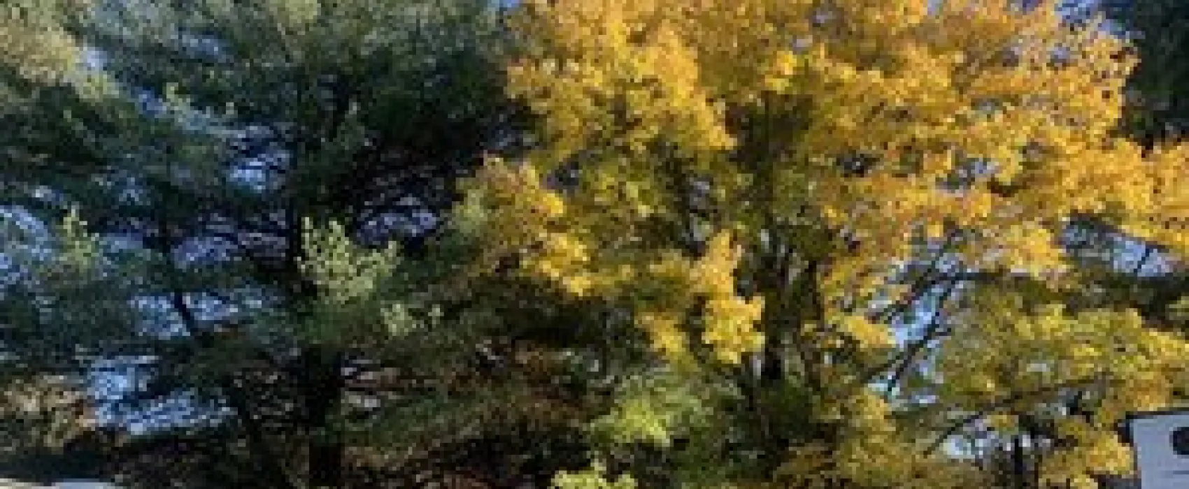 Mountain Creek Campground