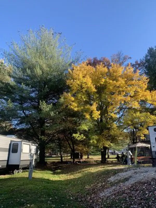 Mountain Creek Campground