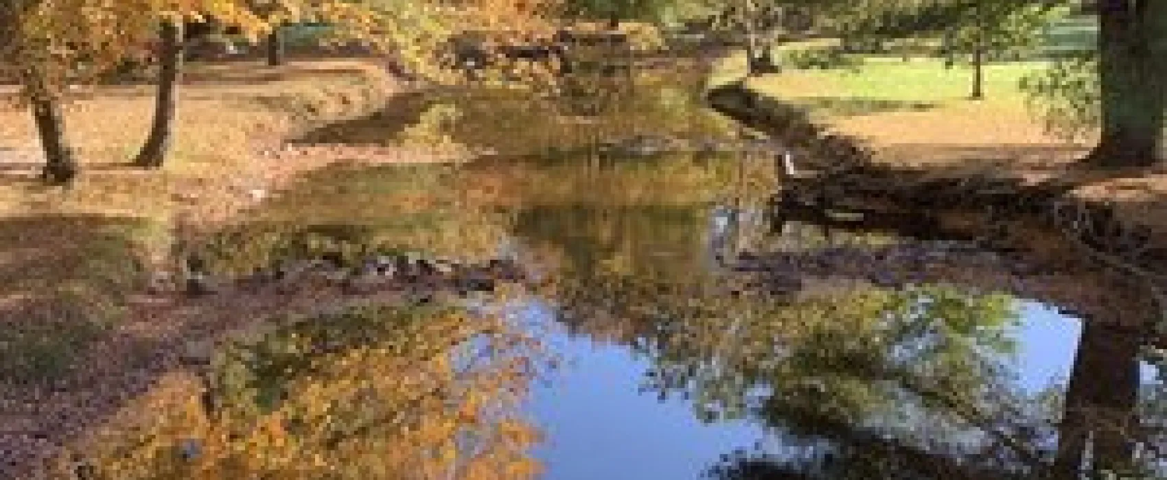 Mountain Creek Campground