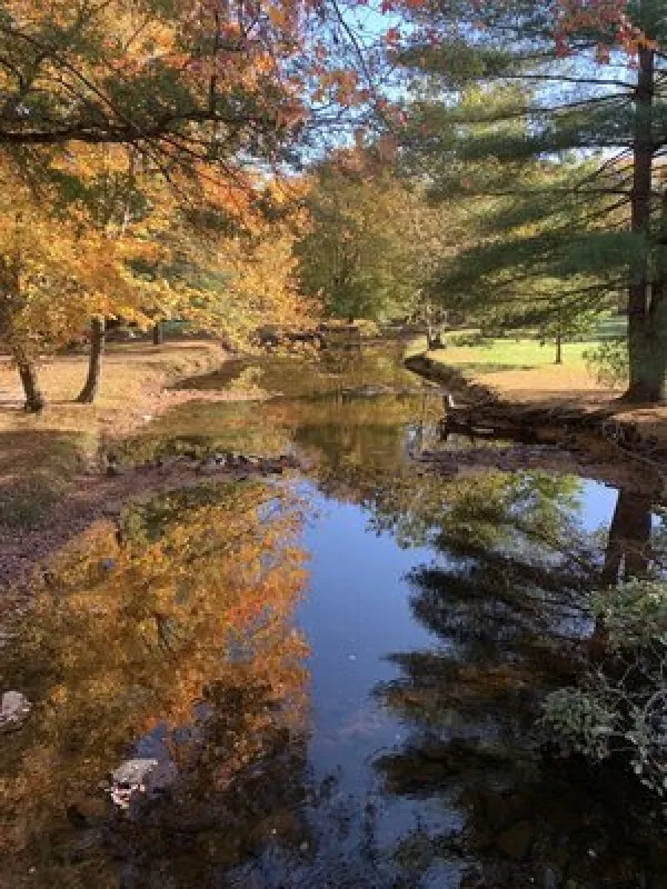 Mountain Creek Campground