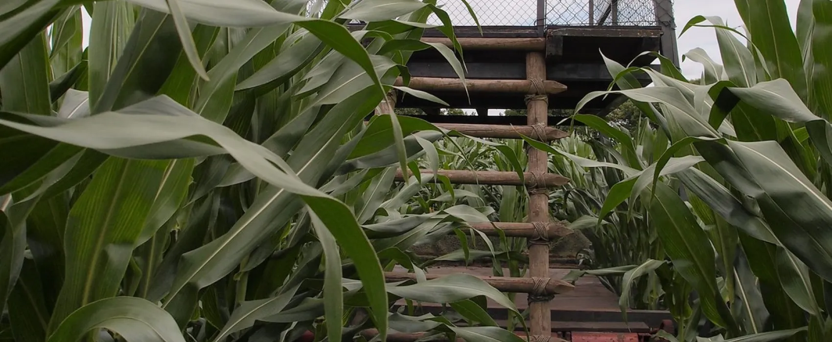 Minicamping Hof van Overveld