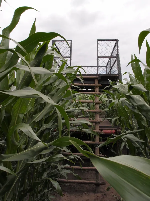 Minicamping Hof van Overveld