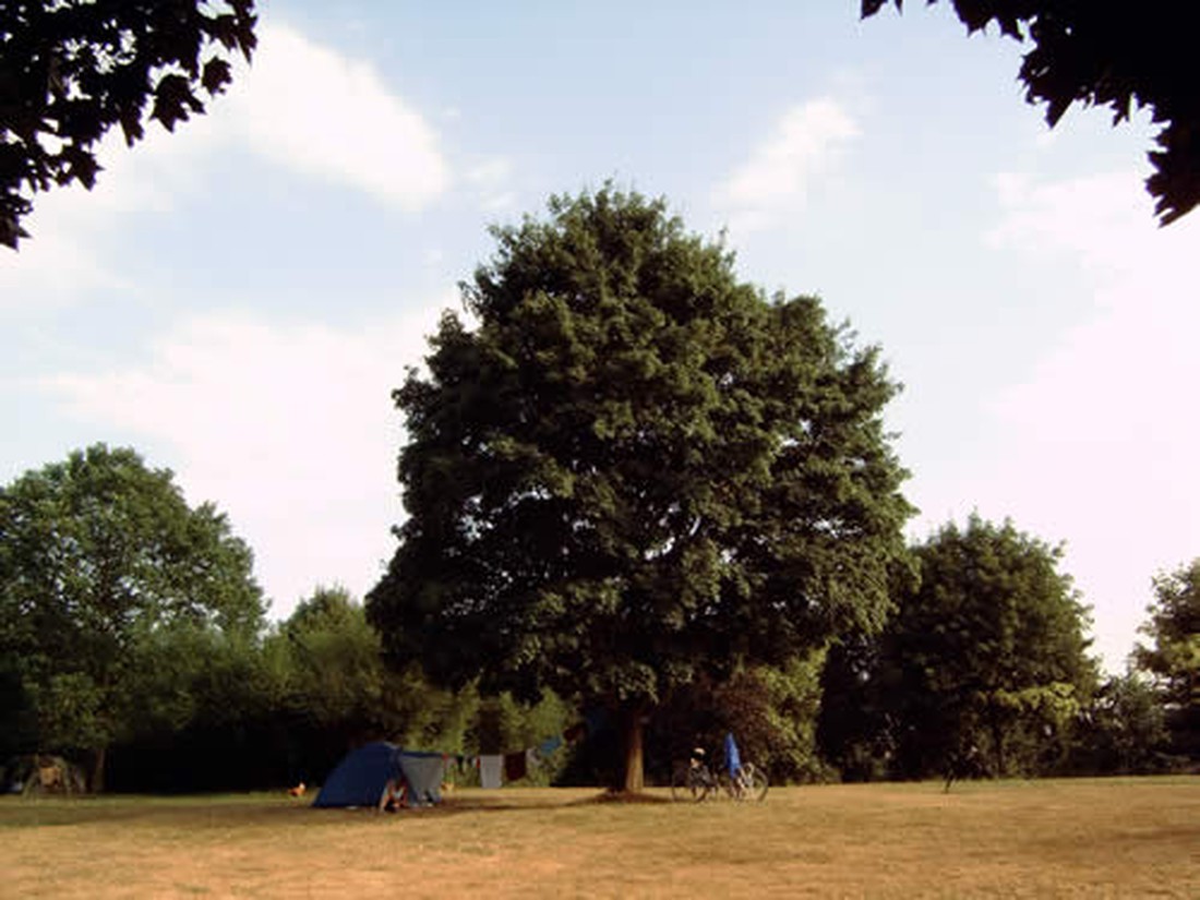 Domaine Le Cheslé photo 4