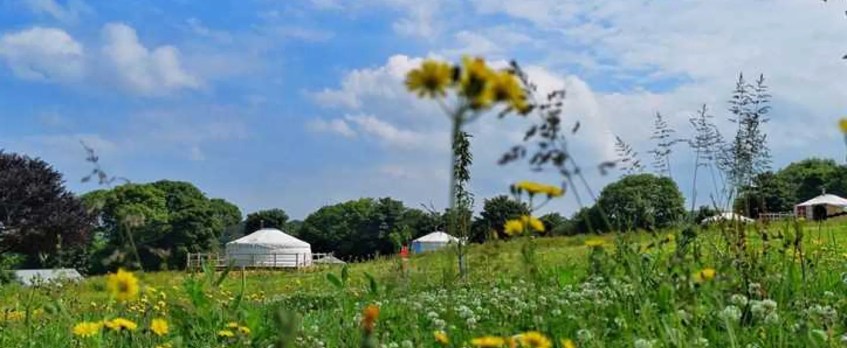 Fir Hill Glamping Yurts