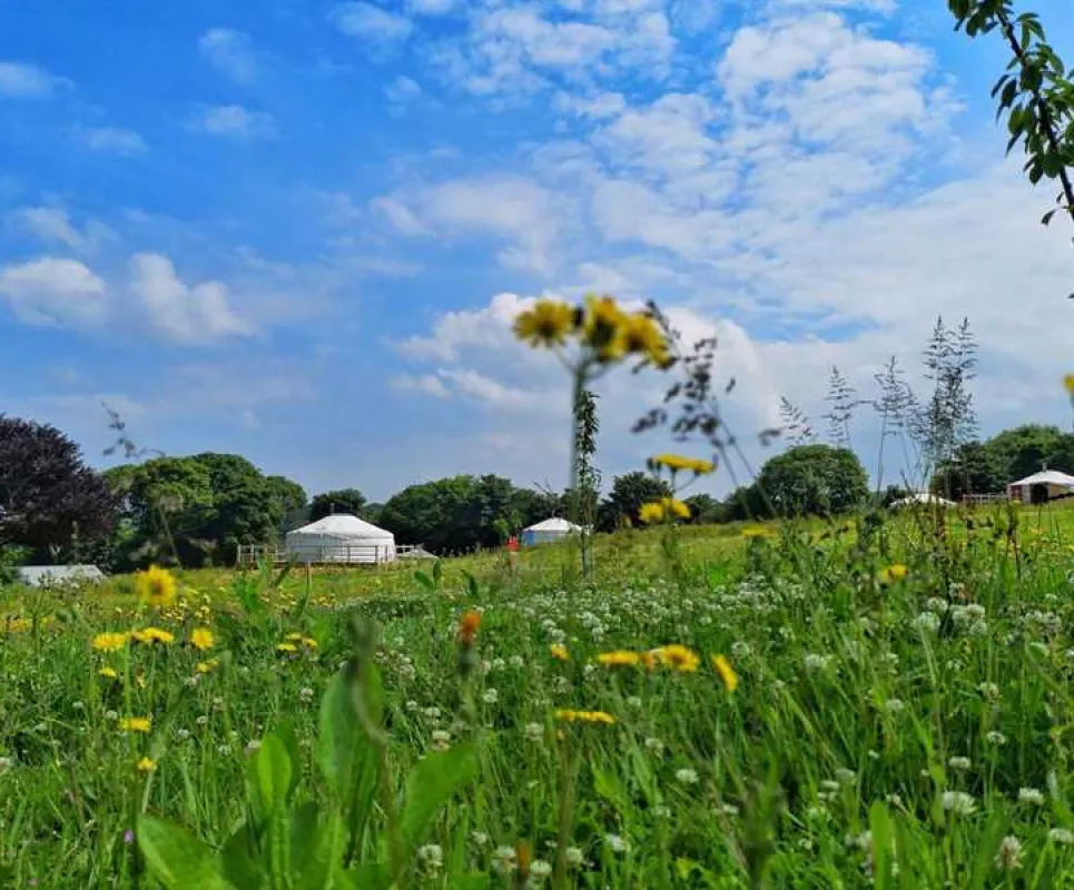 Fir Hill Glamping Yurts