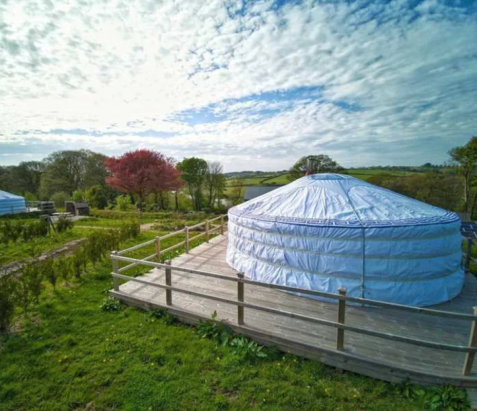 Fir Hill Glamping Yurts