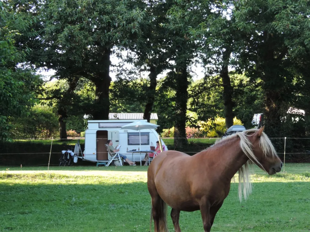 à La Ferme de Penguilly