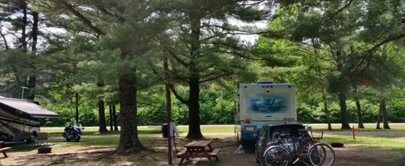 Pine Harbor Campground