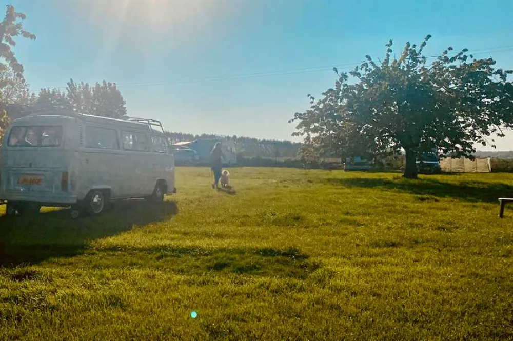 Painters Farm Campsite